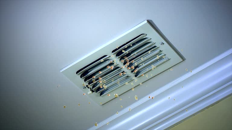 Best HVAC Air Duct Cleaning  in Mount Hope, WV